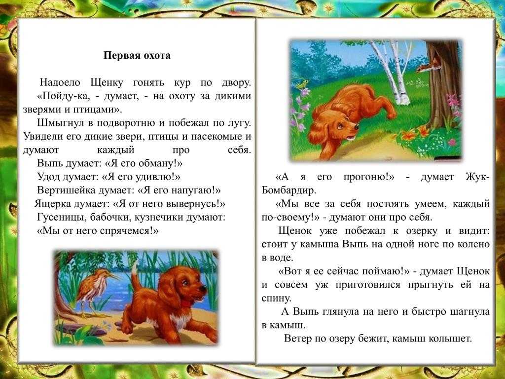 Бианки «первая охота»