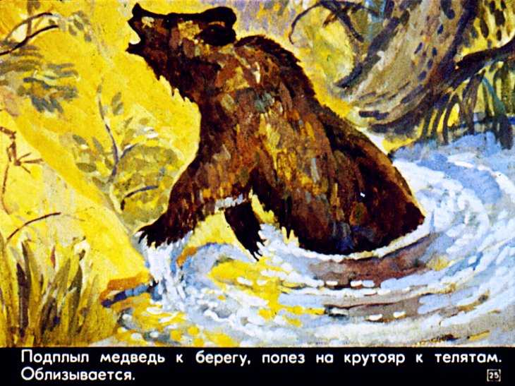 К.г.паустовский «дремучий медведь». краткое содержание сказки