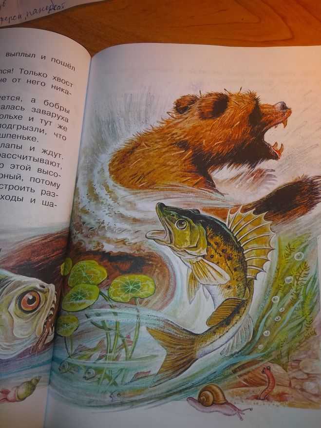 К.г.паустовский "дремучий медведь". краткое содержание сказки