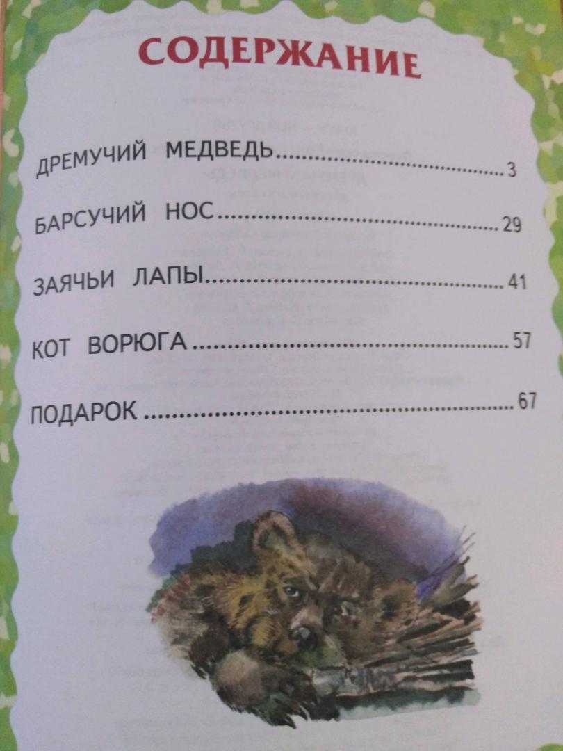 Краткое содержание сказки дремучий медведь паустовского для читательского дневника