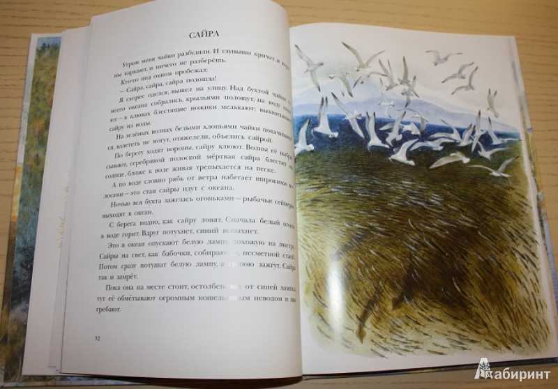 Шуктуган на татарском языке