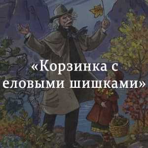 Анализ рассказа «корзина с еловыми шишками» (к. г. паустовский) | литрекон
