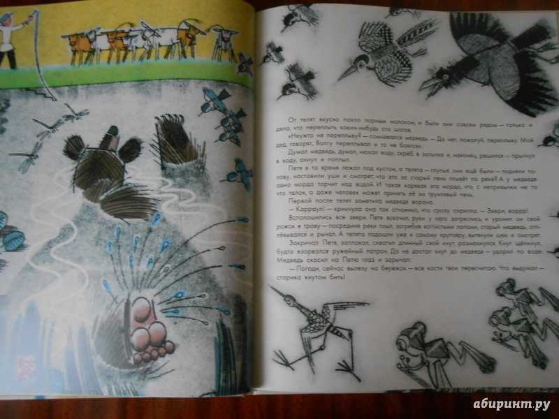 Читательский дневник «дремучий медведь» константина паустовского