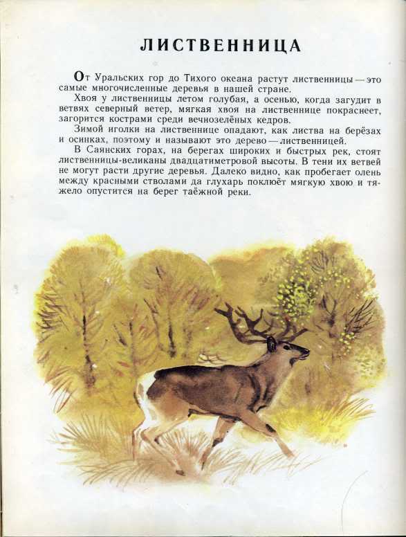 Тукран малае шуктуган краткое содержание