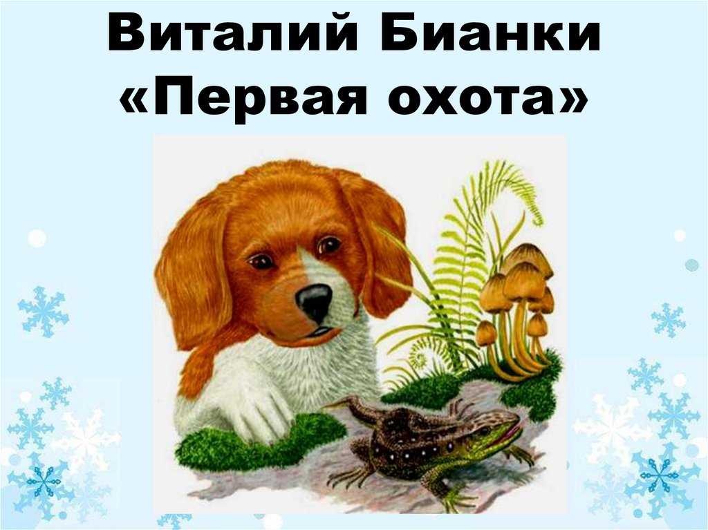 Бианки в.в. — первая охота развивайка