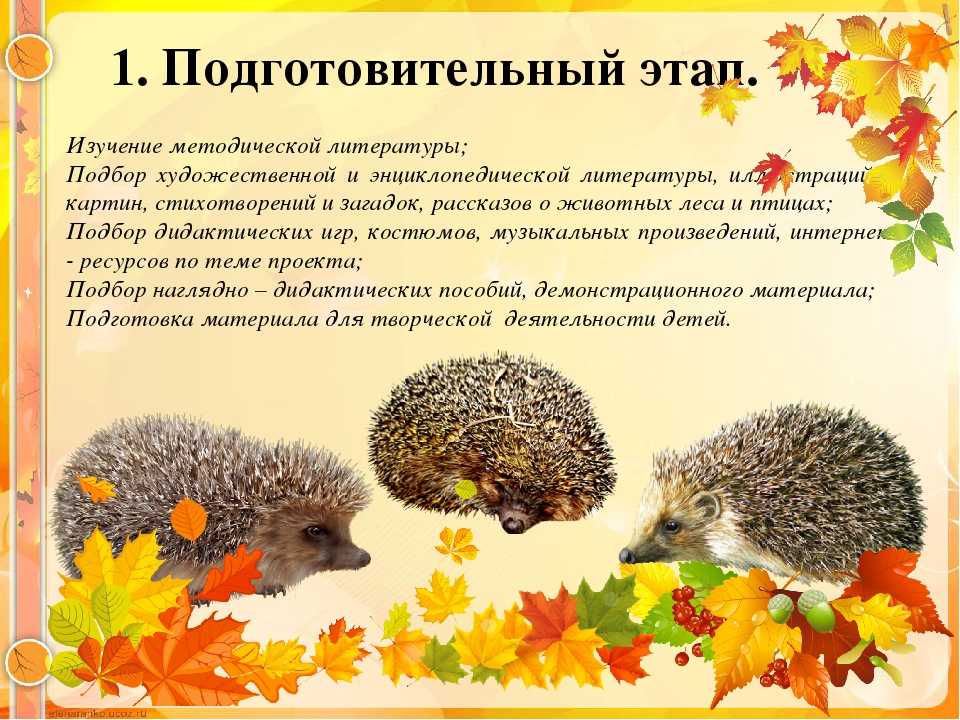 Образовательная деятельность с детьми 6–7 лет по речевому развитию. тема «пересказ сказки л. н. толстого «белка и волк» | статья в журнале «молодой ученый»