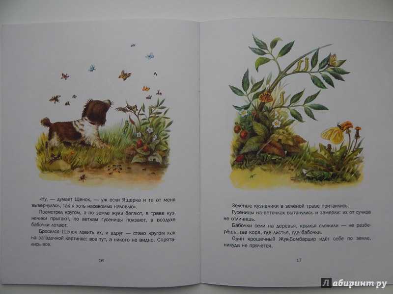 Первая охота