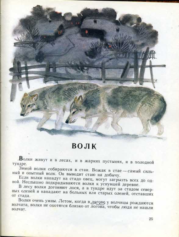 Диктанты на непроизносимые согласные 3-4 класс