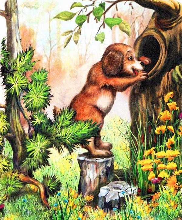 Бианки «первая охота»