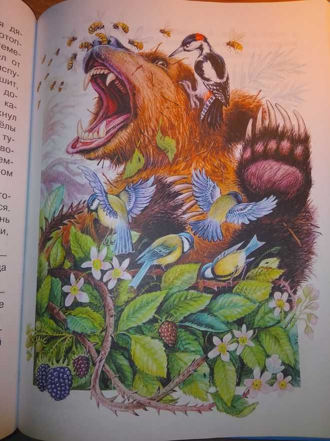 К.г.паустовский "дремучий медведь". краткое содержание сказки