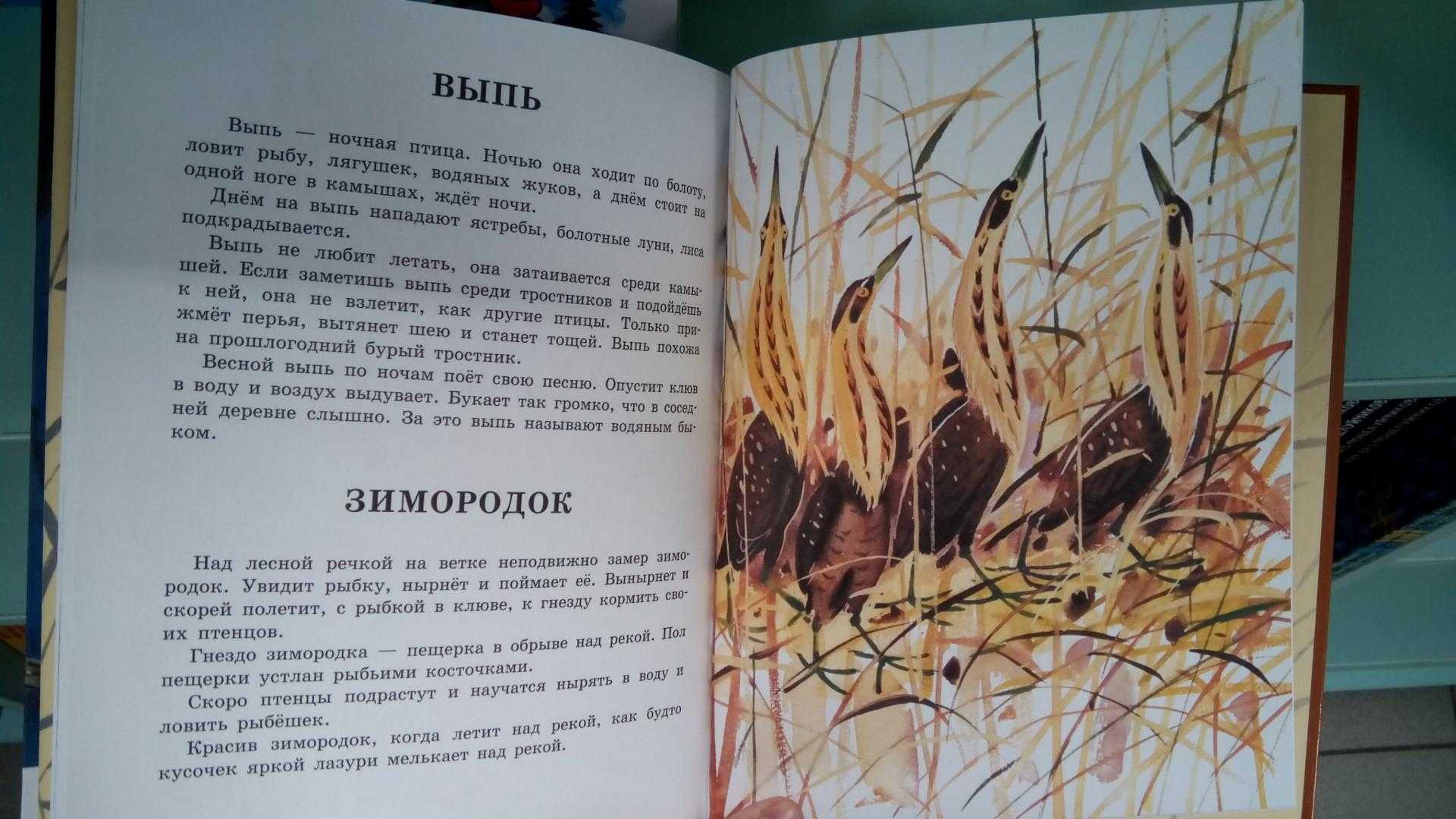 Рассказы снегирева для детей 2 класса