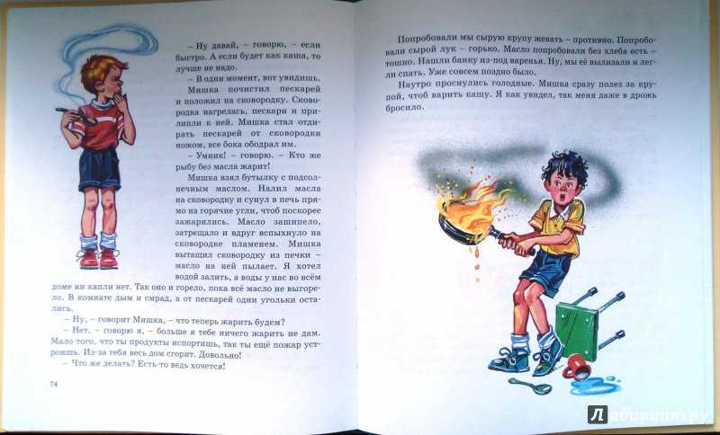 Рассказ мишкина каша читать онлайн полностью, носов н. н.