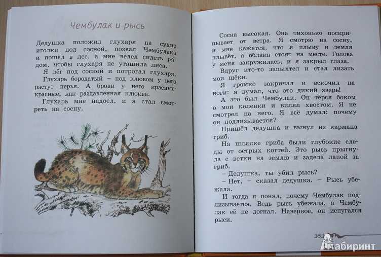 Диктанты за 3 класс - cписать-могу