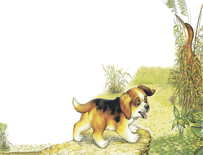 Бианки «первая охота» читать полностью