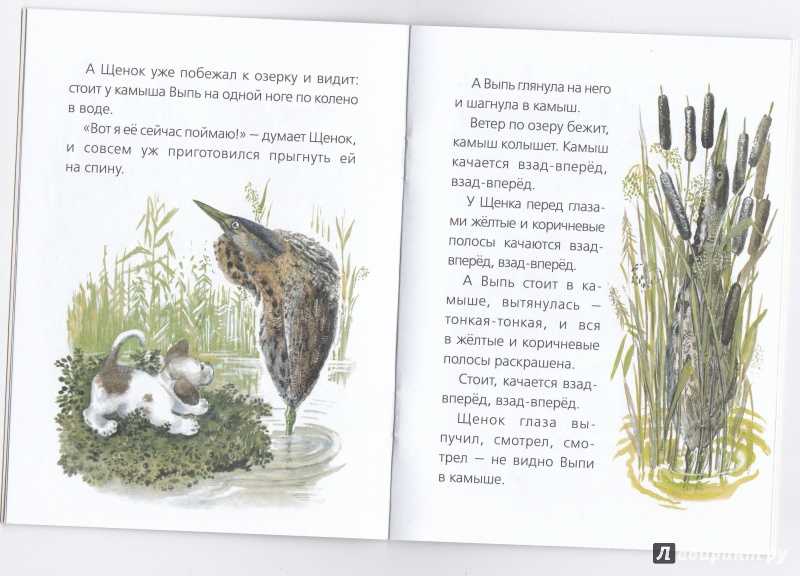 Бианки «первая охота» читать текст полностью