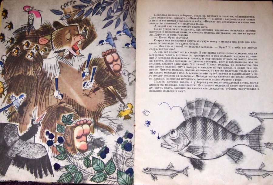 К.г.паустовский «дремучий медведь». краткое содержание сказки