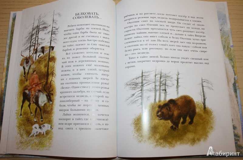 Примеры диктантов по русскому языку - 2 класс 4 четверть