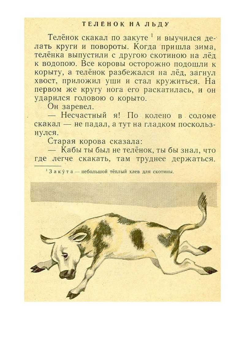 Анализ рассказа «лев и собачка» (л.н. толстой)