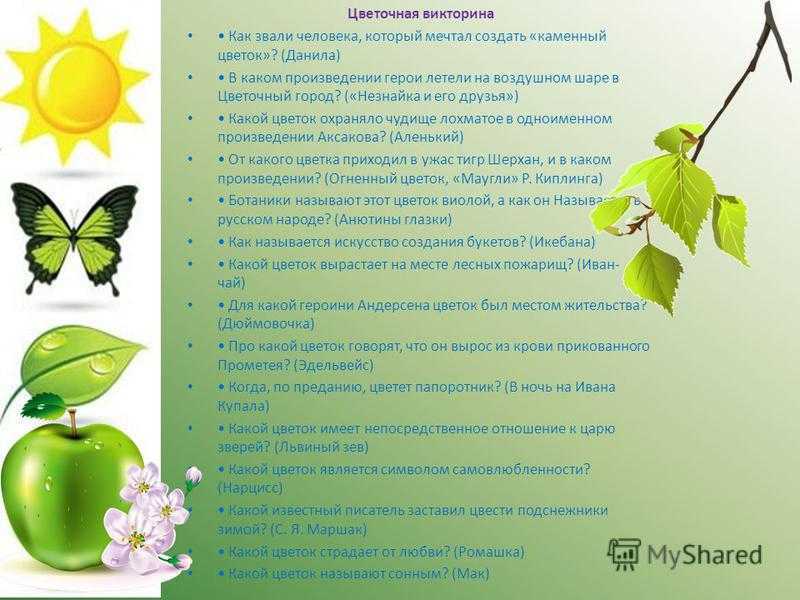 Диктанты для 2 класса по русскому языку с грамматическим заданием – наумёнок