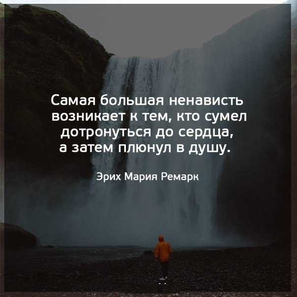 Мудрые цитаты о ненависти, чтобы отпустить это чувство