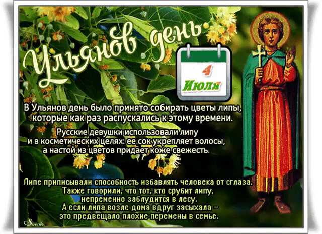 Загадки, пословицы, поговорки, рассказы и стихи о липе. пословицы, поговорки, приметы о деревьях пословицы и поговорки про липу