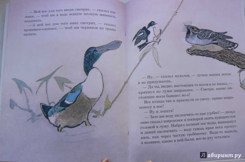 Чей нос лучше бианки сказка с иллюстрациями
