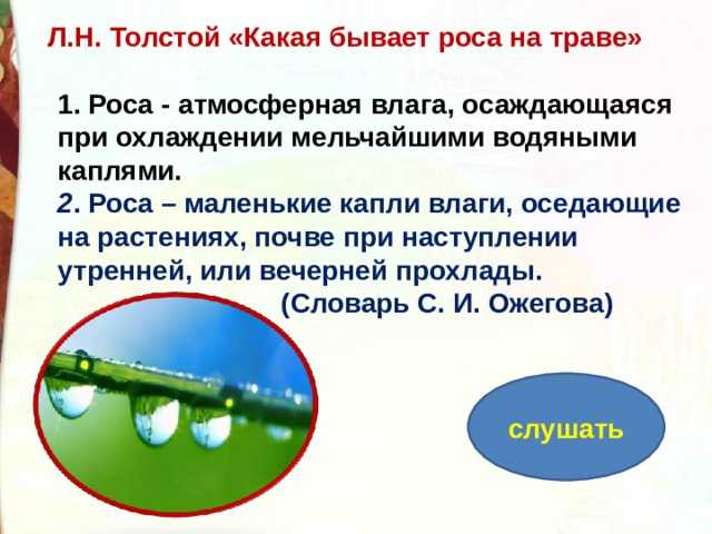 Рассказы о природе, 3 класс читать