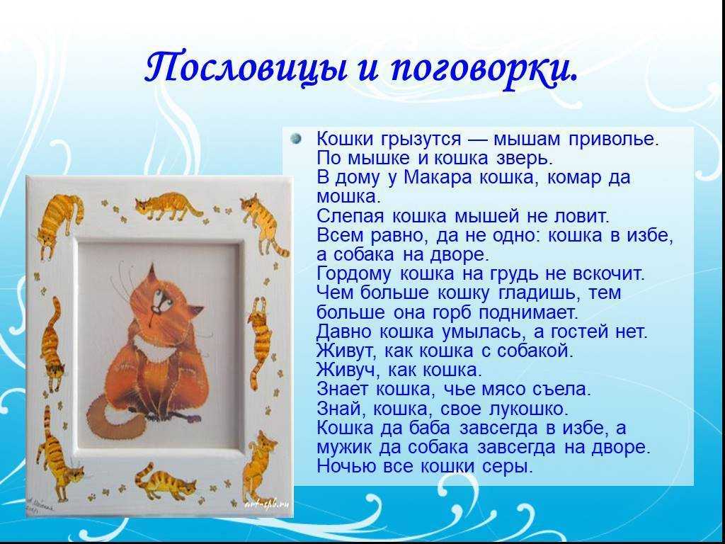 Пословицы и поговорки о собаках и кошках для детей