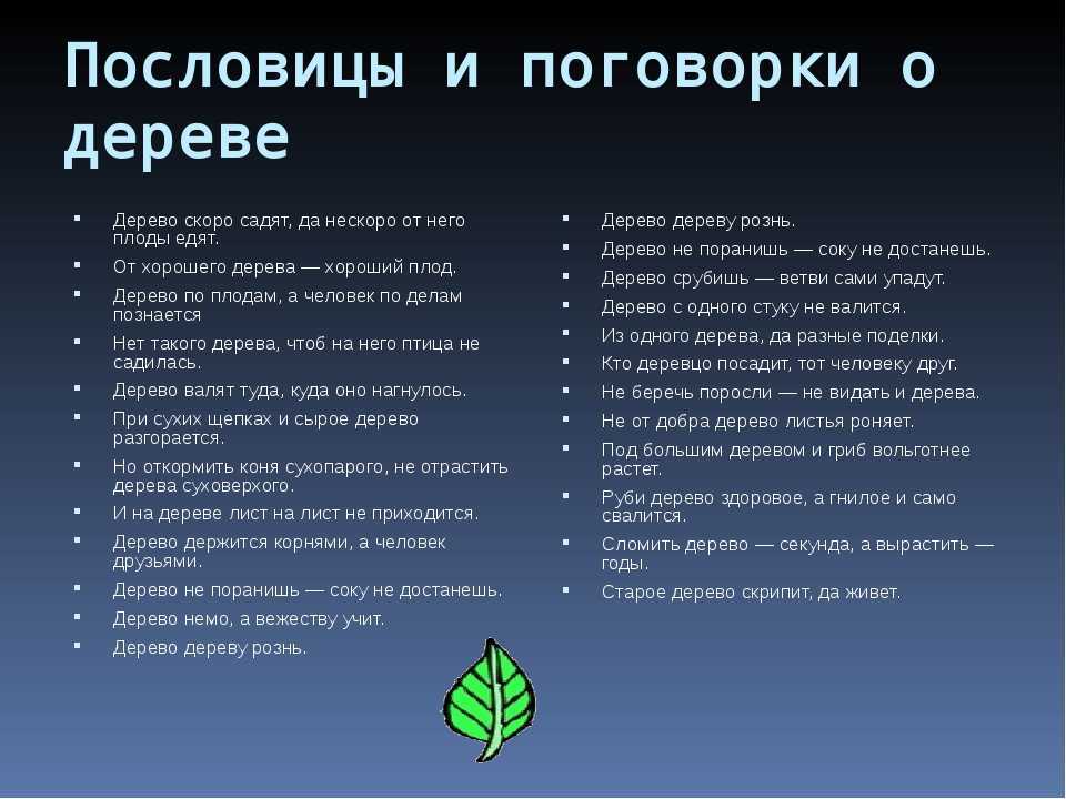 ✅ пословицы о деревьях «129 шт» поговорки для 1,2,3,4,5 класса