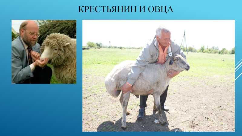 Иван крылов и украина (олег слепынин) — по ком звонит колокол