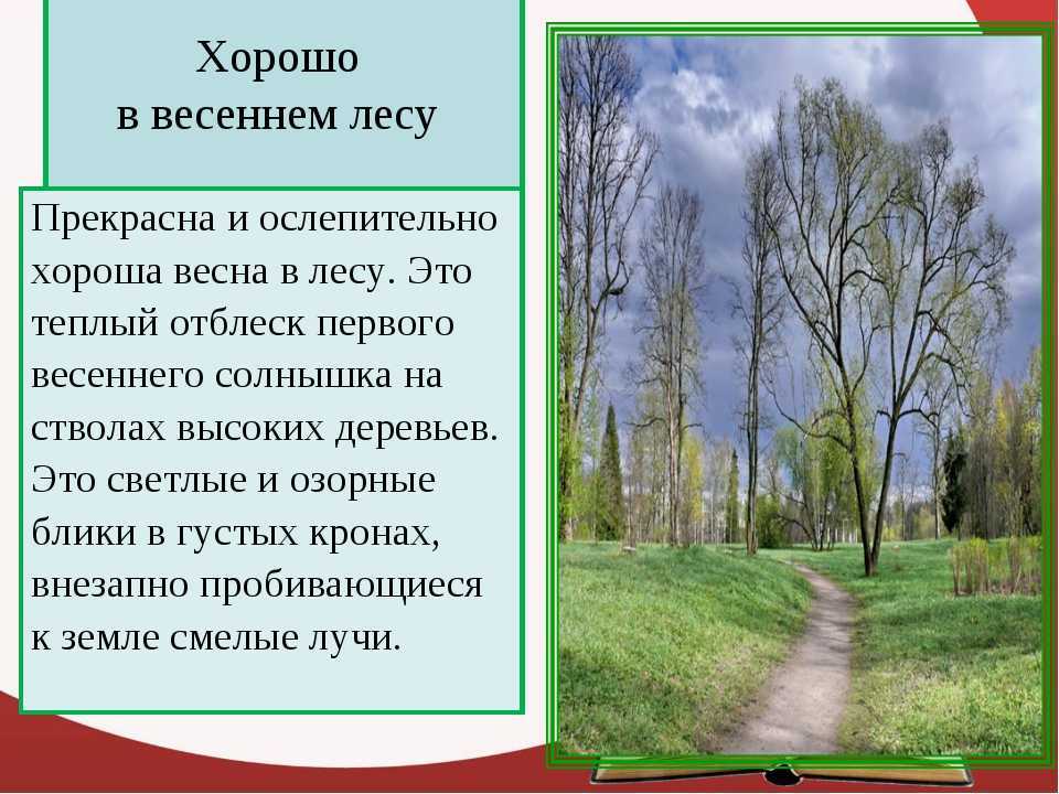 Короткие стихи про осень для детей