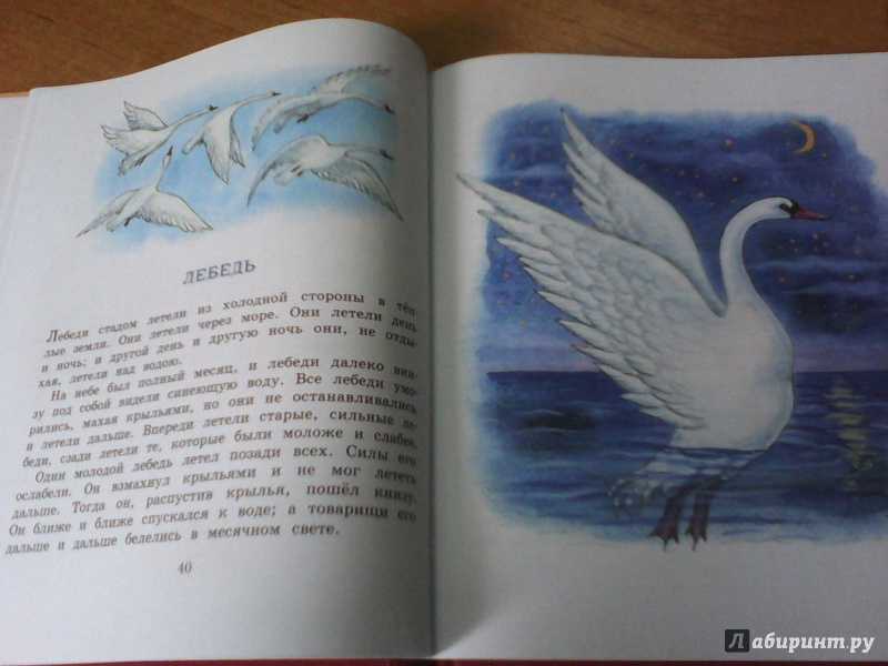 Читательский дневник лебедушка