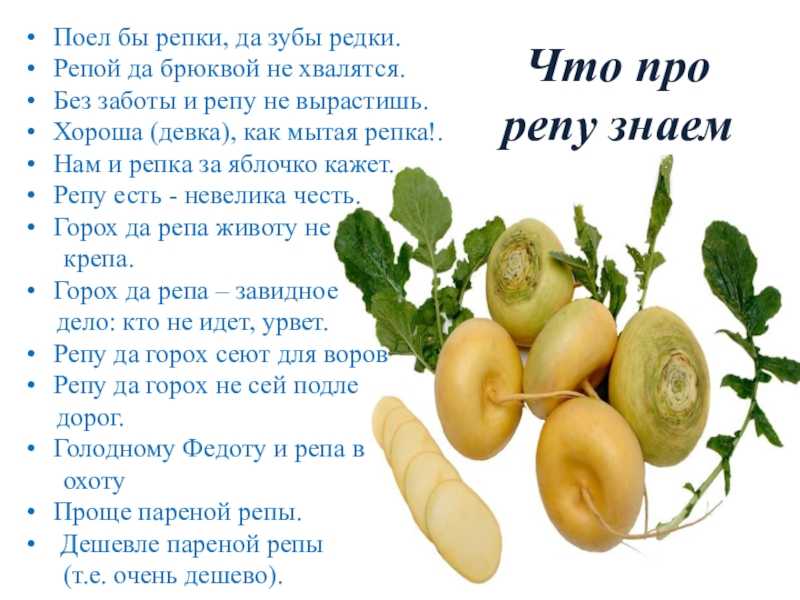 Репка