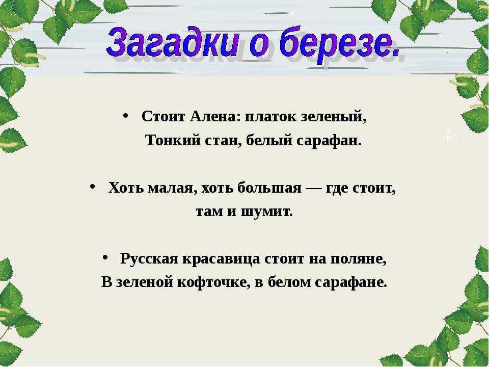 Пословицы и поговорки о березе