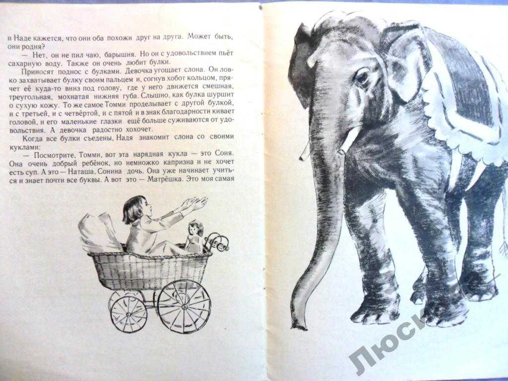 Читательский дневник про слона. Слон Томми Куприн рисунок. Слон Куприн 1972. Куприн а. и. "слон".