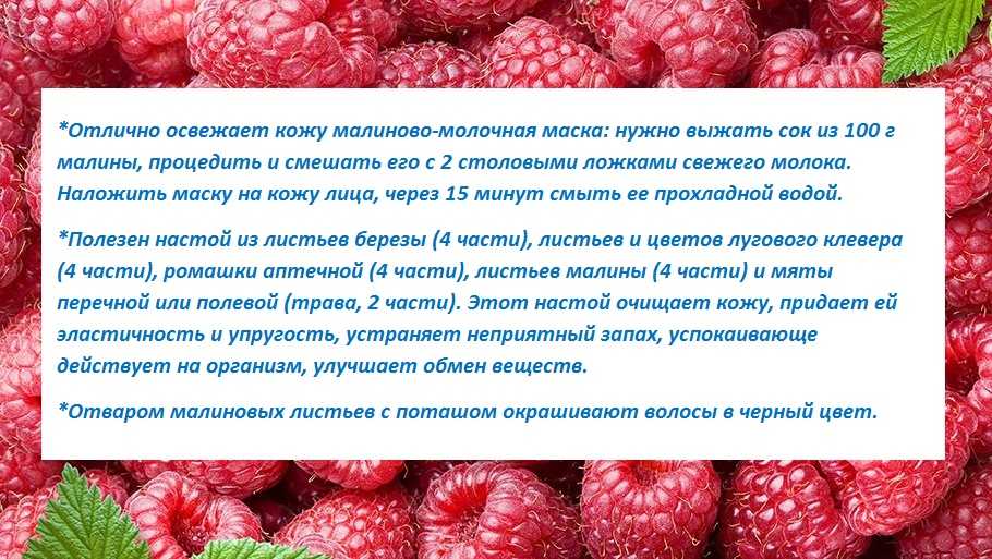 Чужбина калина родина малина: история пословицы и ее значение для современности