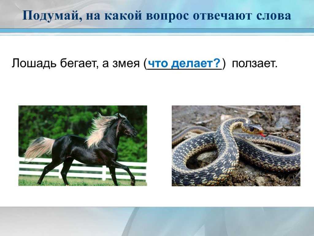 М. м. пришвин. кладовая солнца. текст произведения