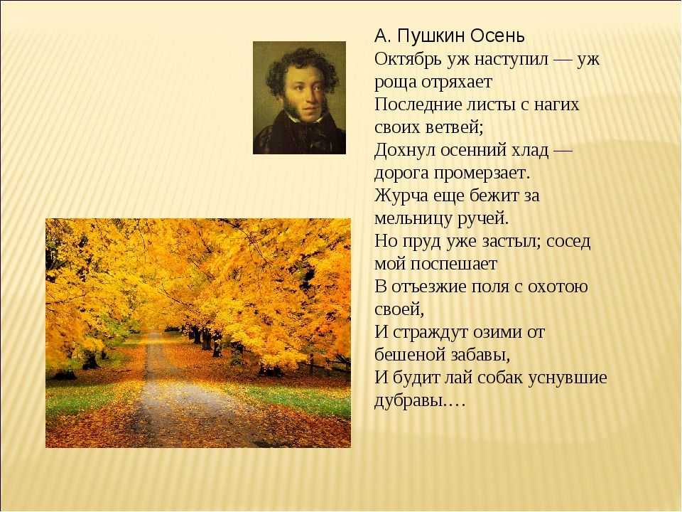 Стихи о весне для 2 класса великих русских поэтов - выучить стихи тютчева, маршака, фета, пушкина -стихи для детей
