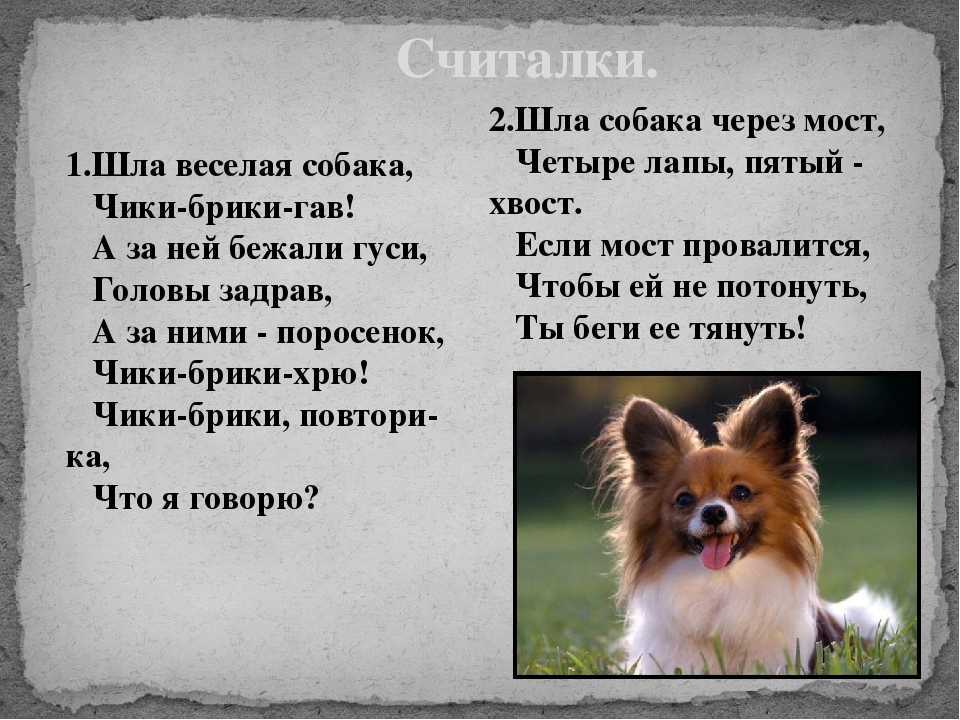 Рассказы льва толстого для детей 1 класса