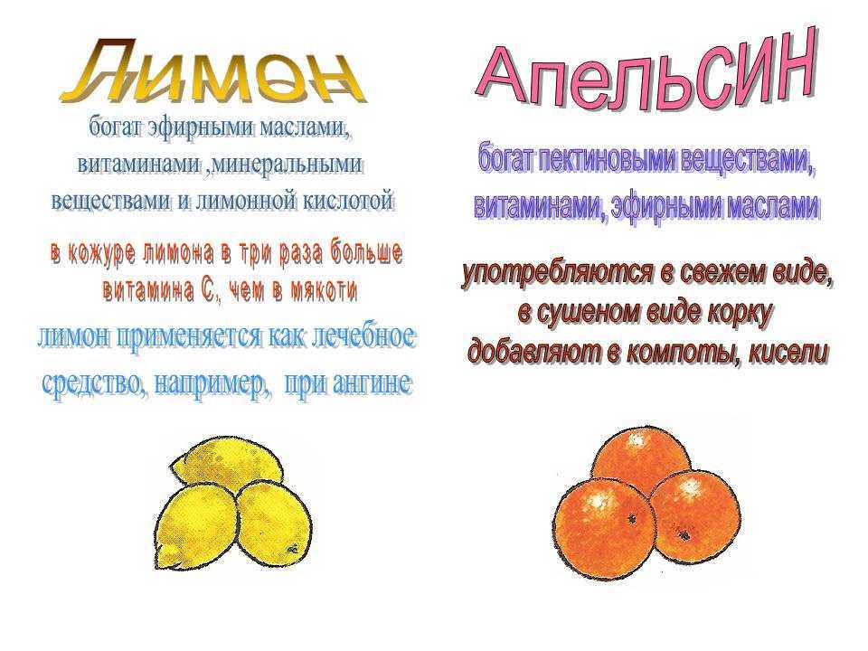 Нод «апельсин» | дошкольное образование  | современный урок