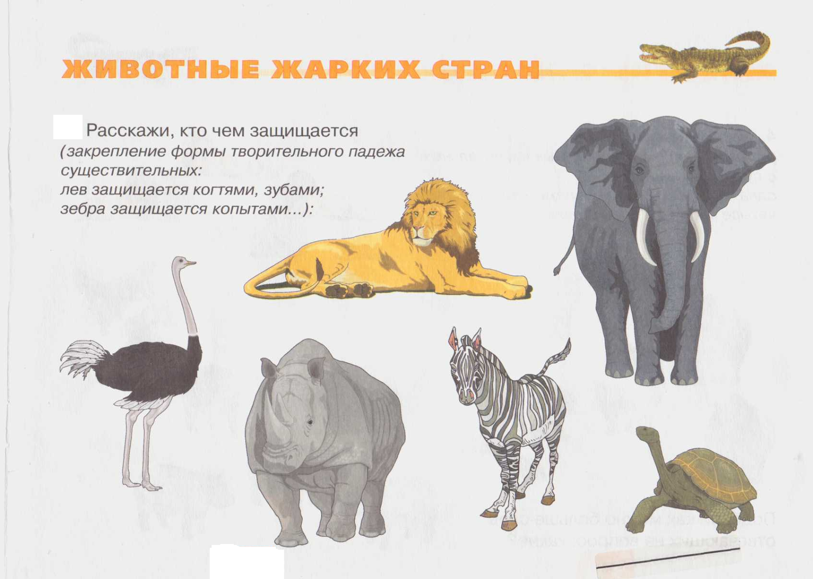 Евгений чарушин ★ что за зверь читать книгу онлайн бесплатно