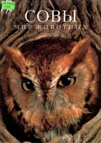 Сова виталий бианки. рассказы рассказы детям (аудио)
