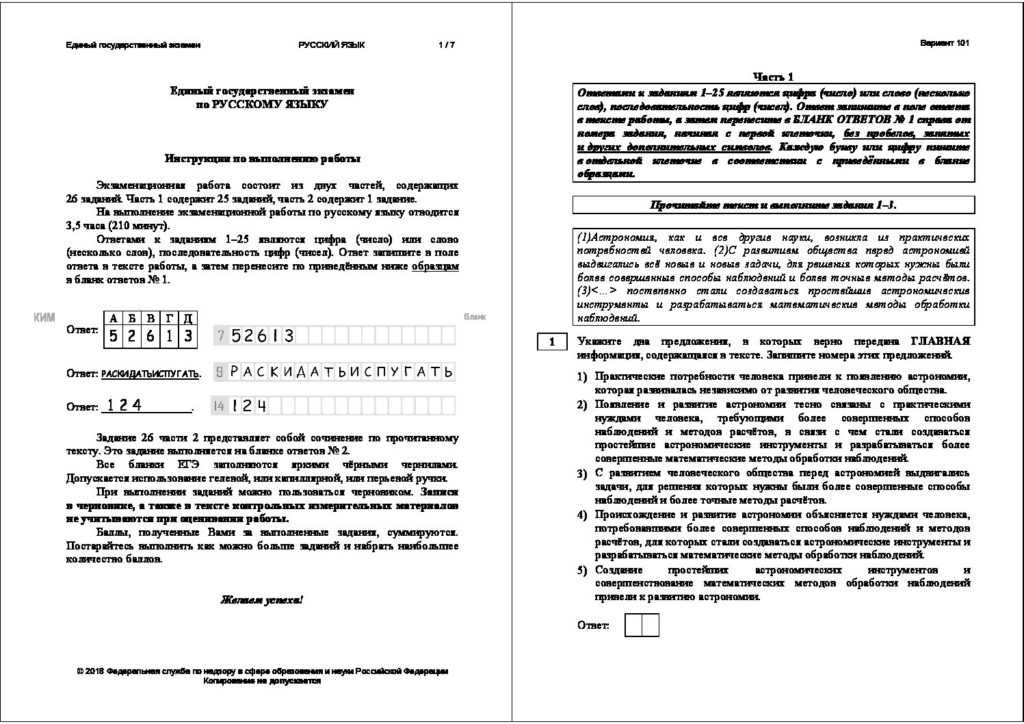 15 видов орехов: рейтинг 2023 года. название, описание, фото