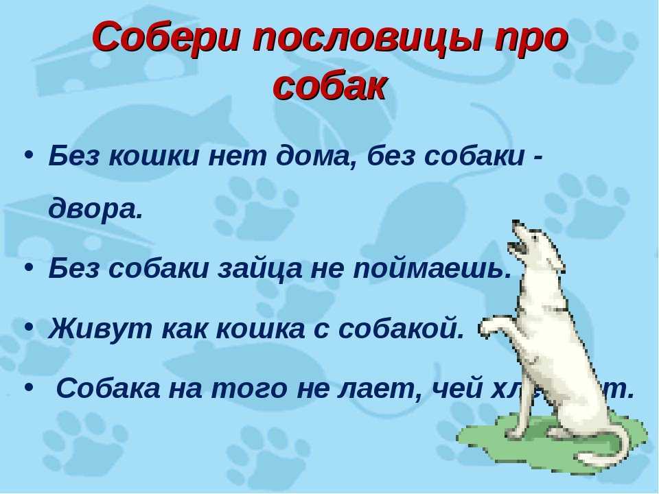 Пословицы и поговорки о диких животных