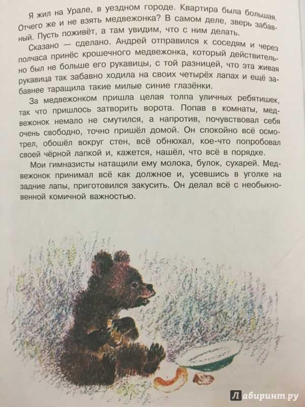 Читательский дневник «притча о молочке, овсяной кашке и сером котишке мурке» дмитрия мамина-сибиряка