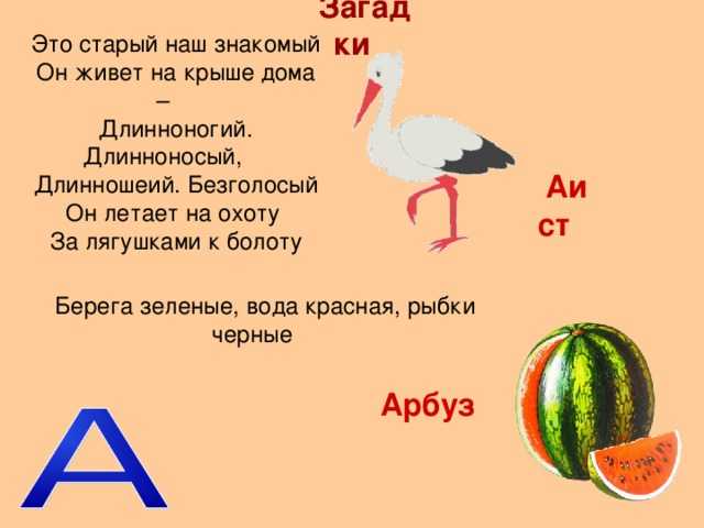 Постановка и автоматизация звука л в слогах, словах, предложениях, артикуляционная гимнастика для звука л