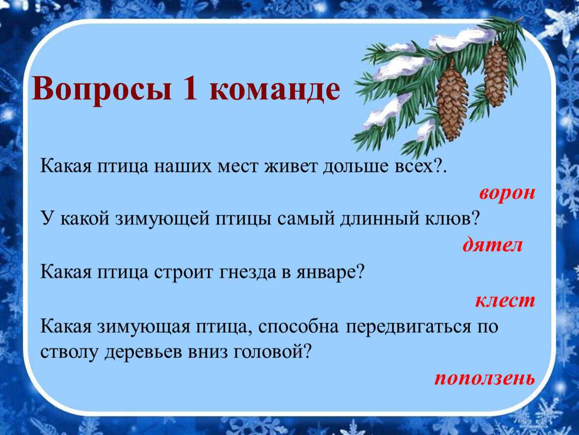 Социально–полезный проект
«птицы — наши друзья. помоги другу» | дошкольное образование  | современный урок