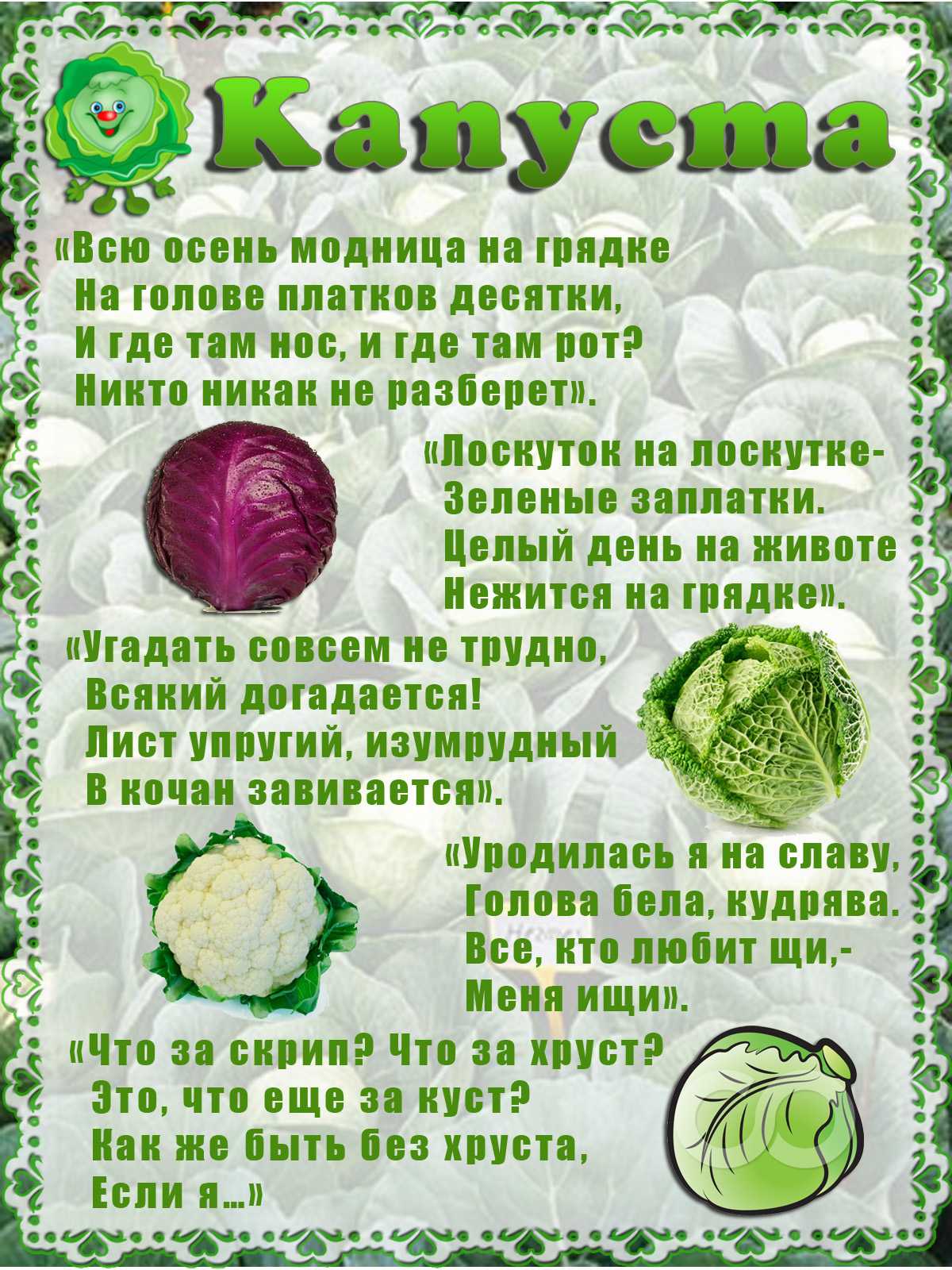 Пословицы и поговорки про овощи и фрукты о пользе для детей