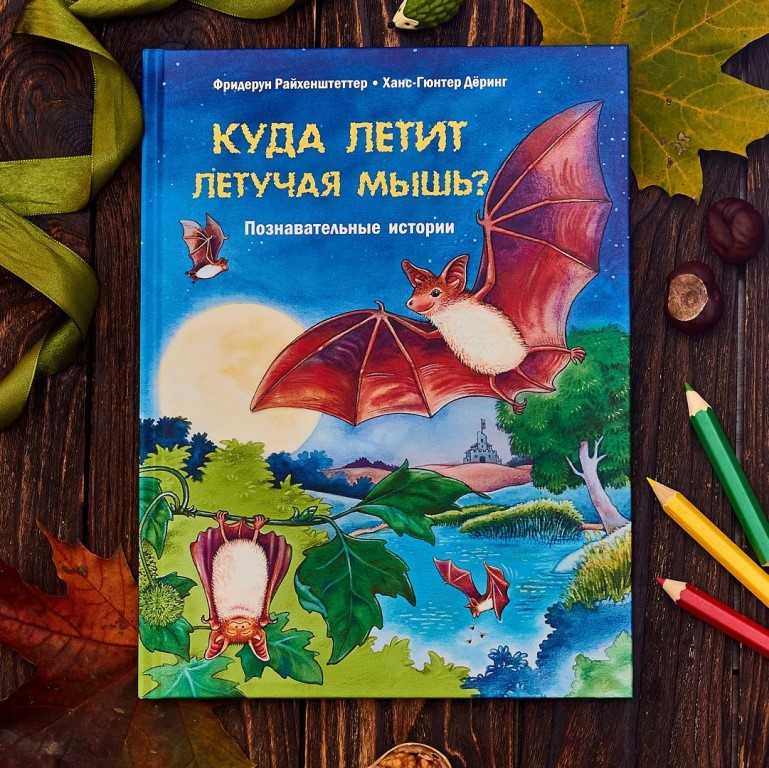 Сказки про летучую мышь для детей слушать