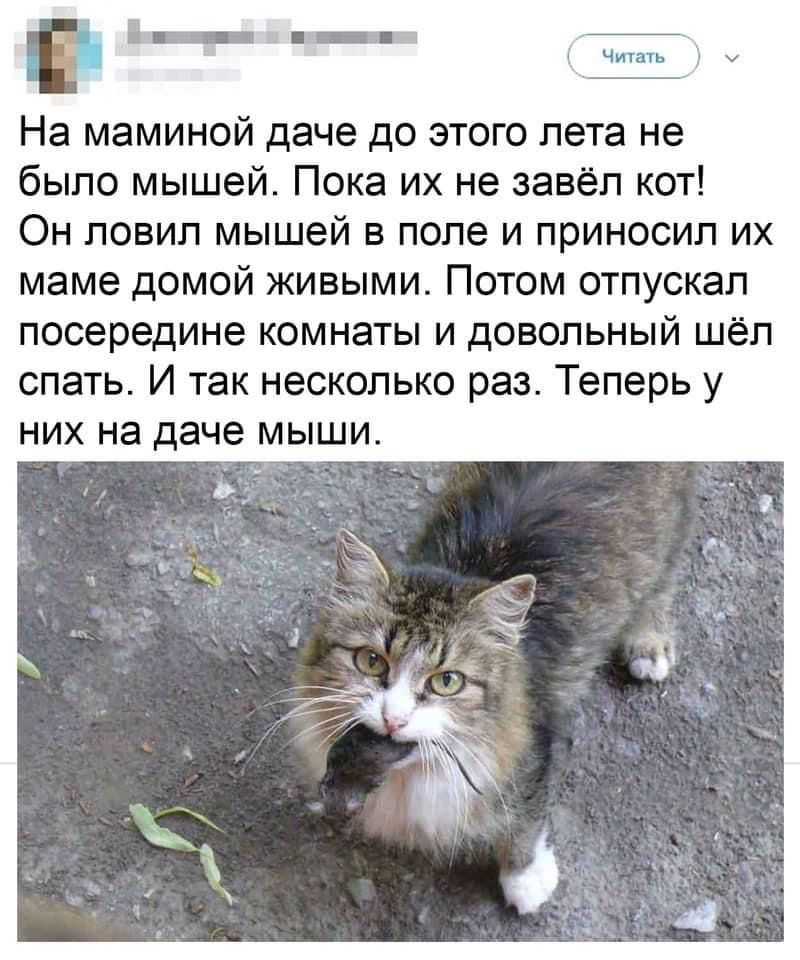 Какие обиды самые тяжёлые и почему прощение – это так важно?